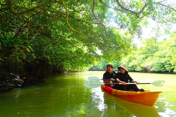 Okinawa Ishigaki Mangrove SUP or Canoe Tour - SUP or canoe: which should you choose?