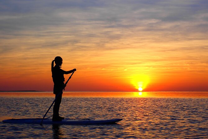 Okinawa Ishigaki Sunset SUP or Canoe Tour - Who will enjoy this Ishigaki sunset tour