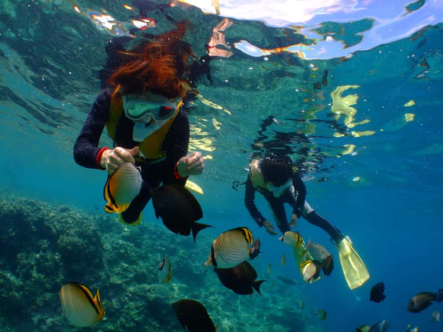 Okinawa : Kerama Whole Day Snorkeling Tour From Chatan/Naha - Key points to know before booking