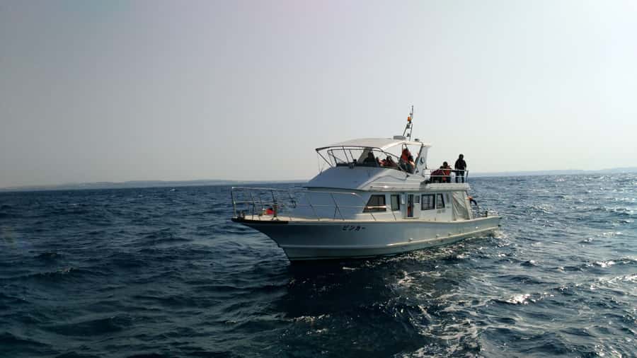Okinawa : Kerama Whole Day Snorkeling Tour From Chatan/Naha - What you can see below the surface