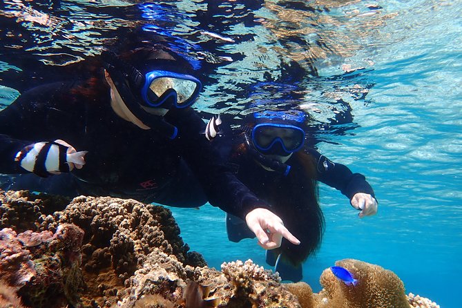 Okinawa Miyako 3set Beach SUP, Snorkeling,Pumpkin Cave,Canoeing - Price, group size, and overall value