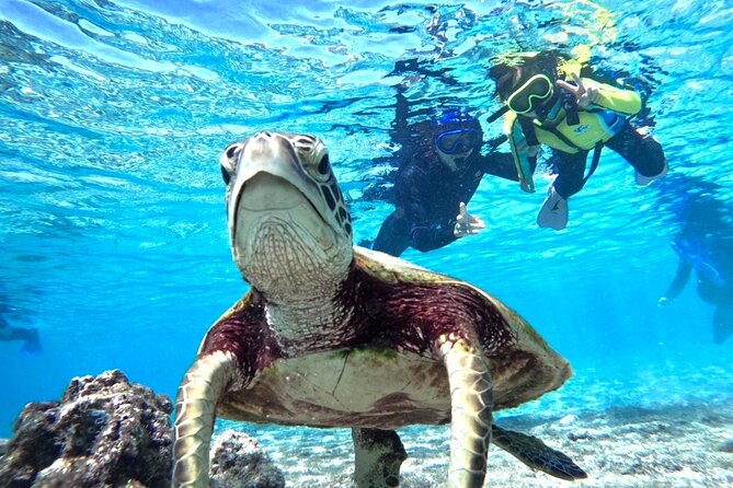 Okinawa Miyako Beach SUP or Canoe and sea turtle Snorkeling - Two sides of Miyakojima’s blue sea