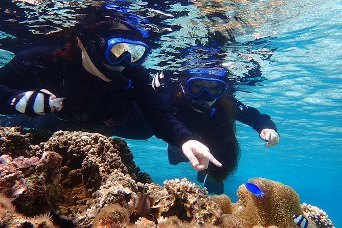 Okinawa Miyako Beach SUP or Canoe and sea turtle Snorkeling - Who will enjoy this Miyakojima tour