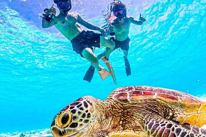 Okinawa Miyako Sea turtle Snorkeling Free Pick up and Drop off - Key points before you book