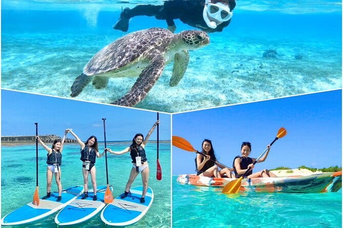 Okinawa Miyako Sea turtle Snorkeling Free Pick up and Drop off - Equipment, photos, and the value of $45.59