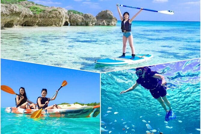 Okinawa Miyako Sea turtle Snorkeling Free Pick up and Drop off - What to expect from the marine life