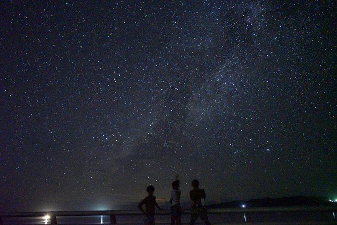Okinawa Miyako Star Gazing & Subtropical Jungle Night Tour - Why Miyakojima is worth seeing after dark
