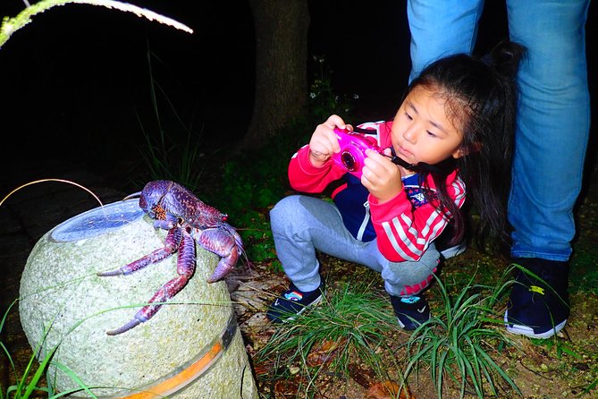 Okinawa Miyako Star Gazing & Subtropical Jungle Night Tour - Who will enjoy this night walk most