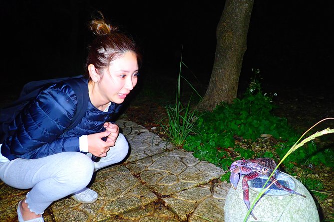 Okinawa Miyako Star Gazing & Subtropical Jungle Night Tour - Meeting at Kurimajima Center after sunset