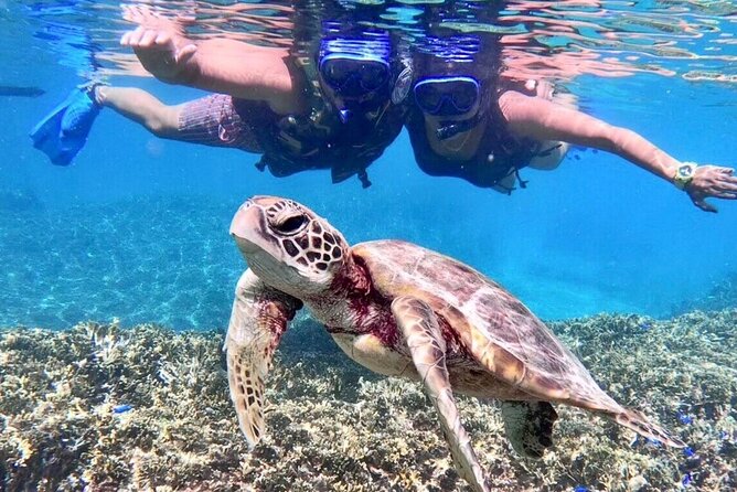 Okinawa Miyakojima 1 day Sea Turtle Snorkeling & Pumpkin Cave & Sea Kayak - Two Miyakojima highlights in one day