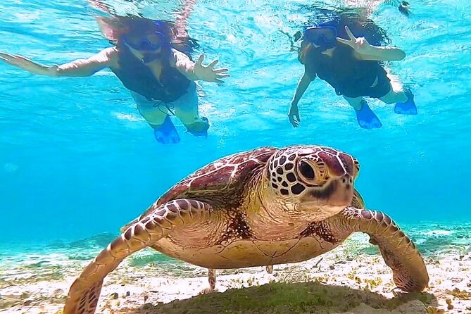 Okinawa Miyakojima 1 day Sea Turtle Snorkeling & Pumpkin Cave & Sea Kayak - What the cave photography really means