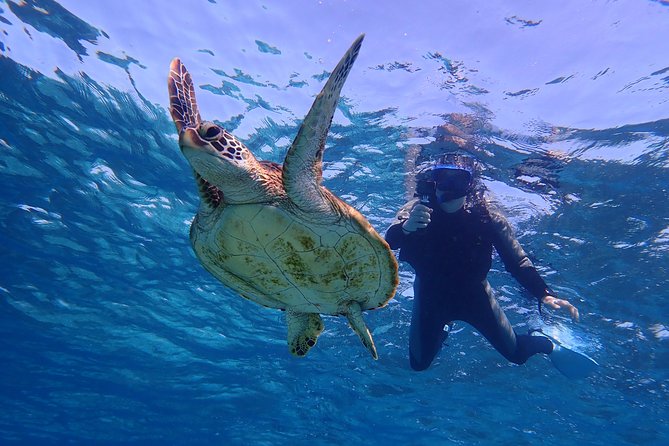 Okinawa Miyakojima 1 day Sea Turtle Snorkeling & Pumpkin Cave & Sea Kayak - Price, group size, and what is included