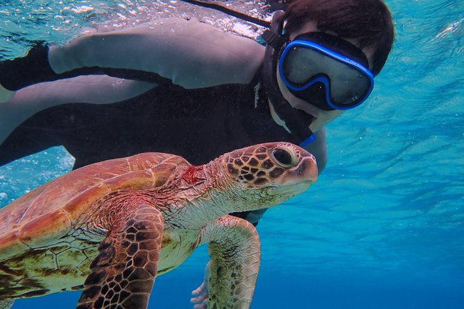 Okinawa Miyakojima Half Day SUPor Canoe & Sea Turtle Snorkeling (Half Day Set) - Choosing between SUP and canoe