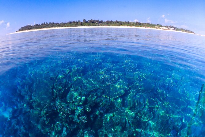 Okinawa: Scuba Diving Tour with Wagyu Lunch and English guide - A careful start for first-time scuba participants