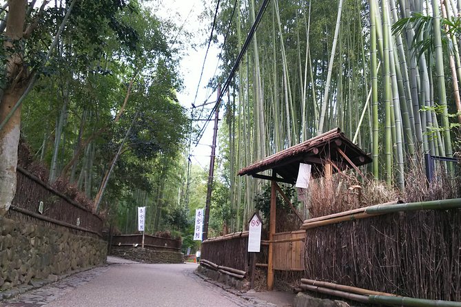 One-Day Walking Tour : Enjoy Kyoto to the fullest! - Walking through Gion with room for atmosphere