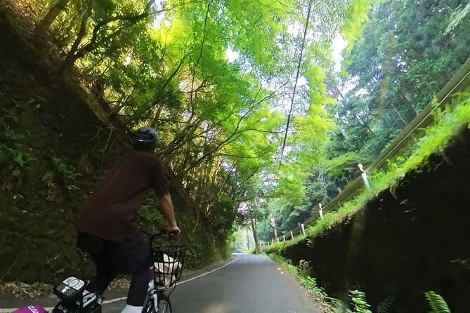 ONLY YOU in the Bamboo Forest! 4 hours E-bike tour with a local - Sagatoriimoto and the road toward Mt. Atago