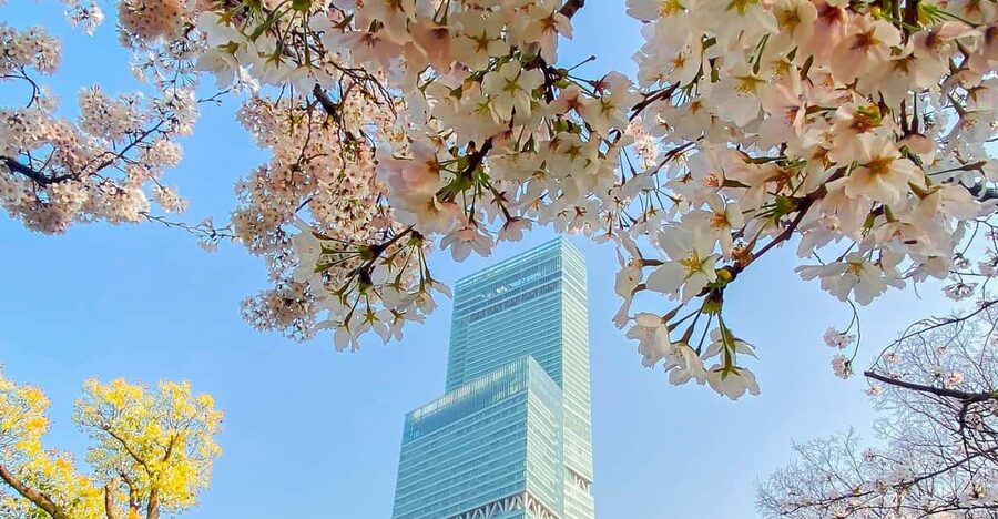 Osaka: Abeno Harukas 300 Observatory E-Ticket - The 58th-floor outdoor plaza and Sky Garden 300