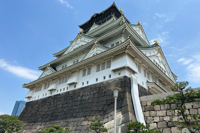 Osaka Castle Walking Tour and Castle Tower Admission - Toyokuni Shrine and Hideyoshi’s story