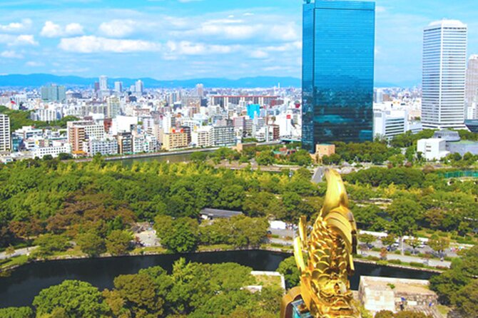Osaka Castle Walking Tour and Castle Tower Admission - What guides add to the experience