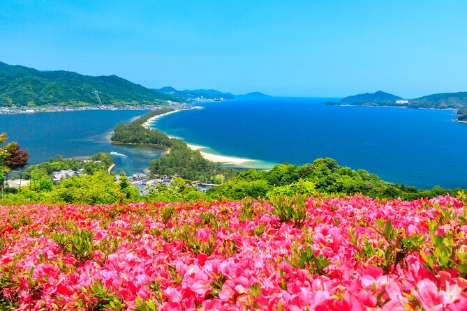 Osaka Day Tour: Amanohashidate & Ine Bay - Key points before you book