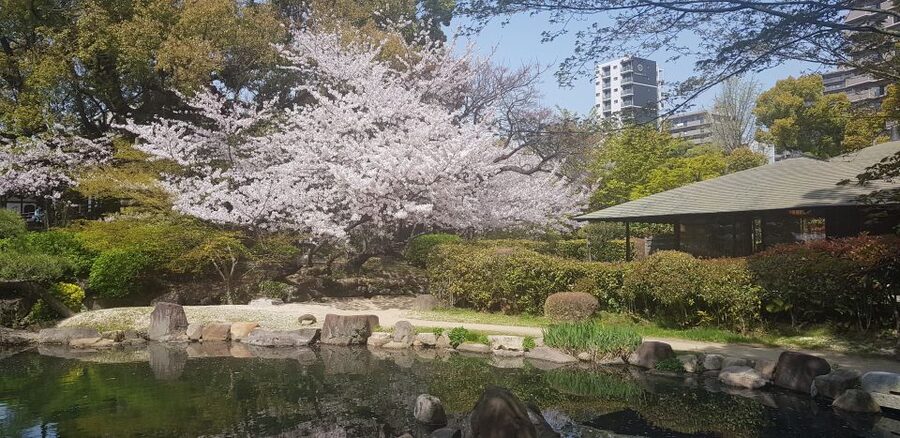 Osaka: Full-Day Sightseeing Tour by Private Vehicle - Abeno Harukas: city views and an upscale food hall
