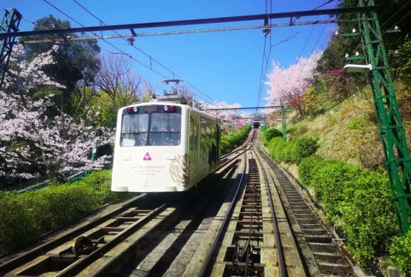 Osaka/Kyoto: Amanohashidate & Miyama Tour with Boat & Lunch - Is $71 a good price?