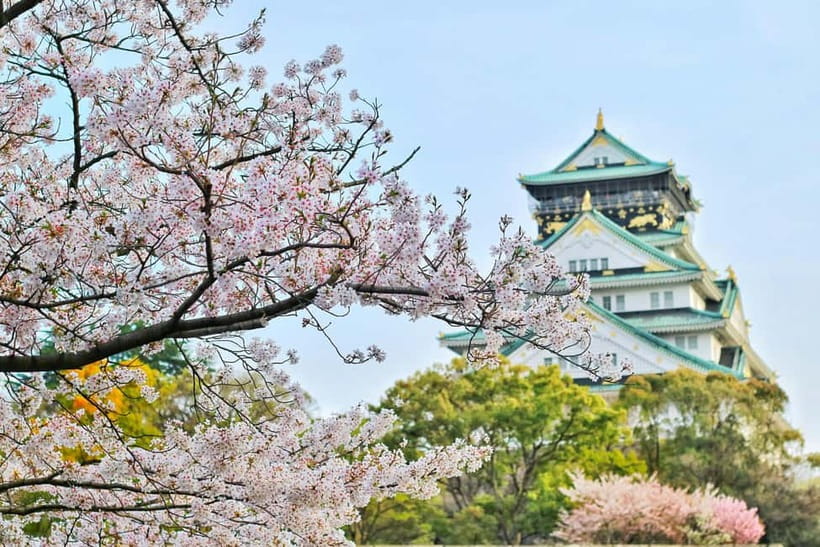 Osaka: Kyoto and Nara Private Day Trip - Nishiki Market, Gion, and the middle of the day