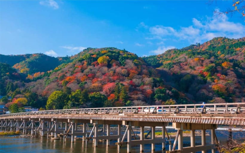 Osaka: Kyoto and Nara Private Day Trip - Walking, weather, and practical preparation
