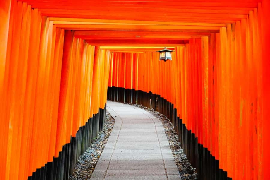 Osaka/Kyoto: Arashiyama, Nara & Fushimi Inari Shrine w/Lunch - Lunch at Kyoto Wasabi in a century-old townhouse