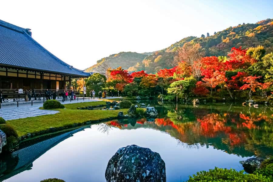 Osaka/Kyoto: Arashiyama, Nara & Fushimi Inari Shrine w/Lunch - The guide makes the difference on a tightly timed day
