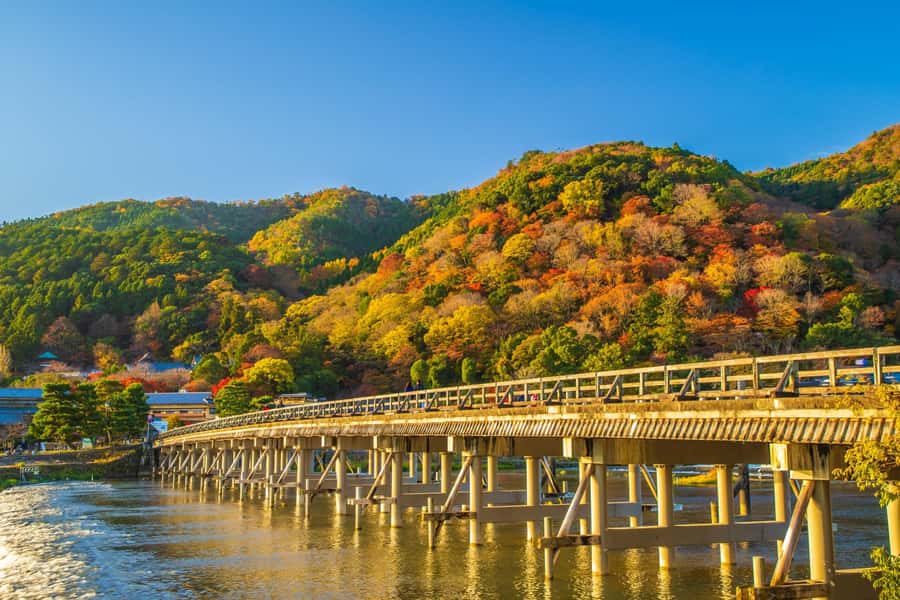 Osaka/Kyoto: Arashiyama, Nara & Fushimi Inari Shrine w/Lunch - Who will get the most from the $61 price