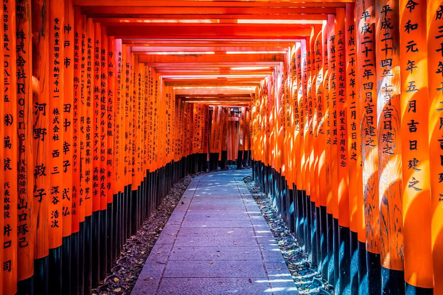 Osaka/Kyoto: Arashiyama, Nara Park, Fushimi Shrine Tour - Three famous sights, one tightly packed day