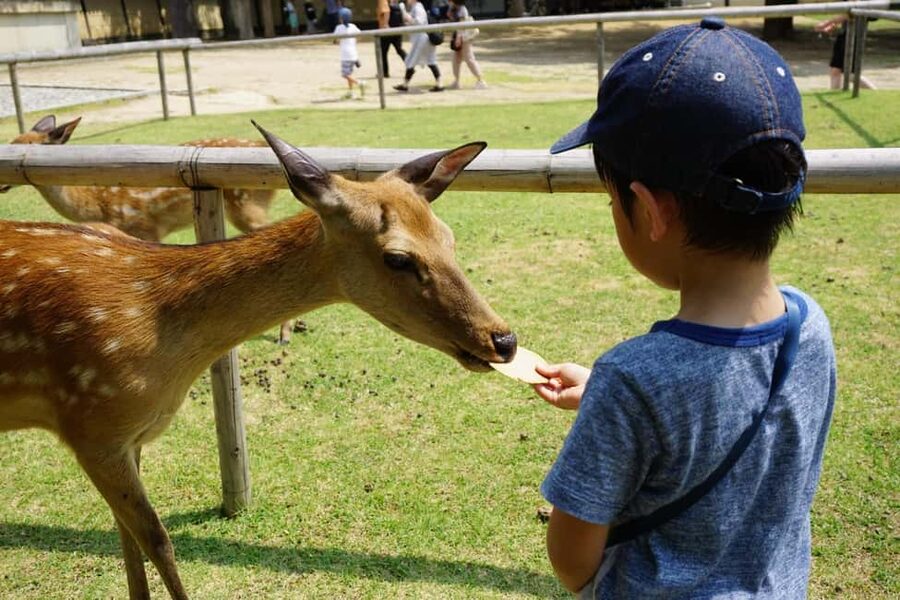 Osaka/Kyoto: Arashiyama, Nara Park, Fushimi Shrine Tour - What the $51 price really covers