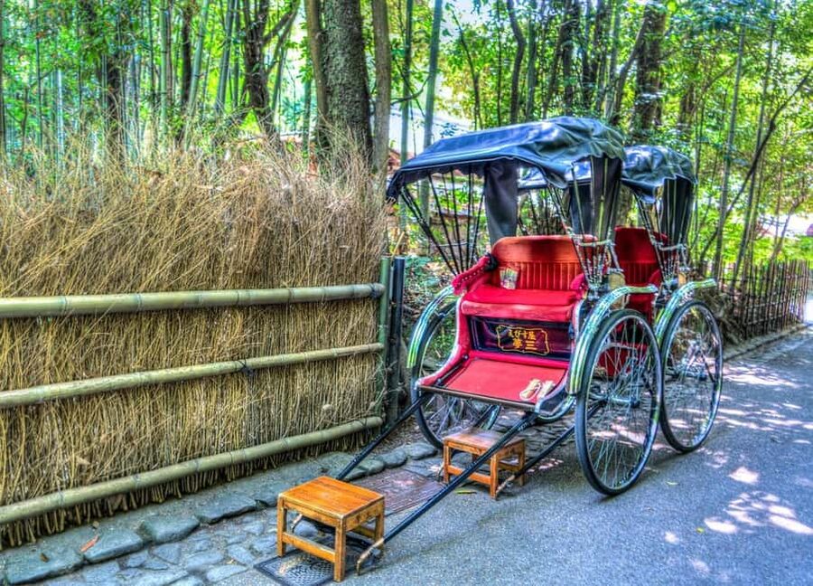 Osaka/Kyoto: Arashiyama, Nara Park, Fushimi Shrine Tour - Guides, language, and the level of help