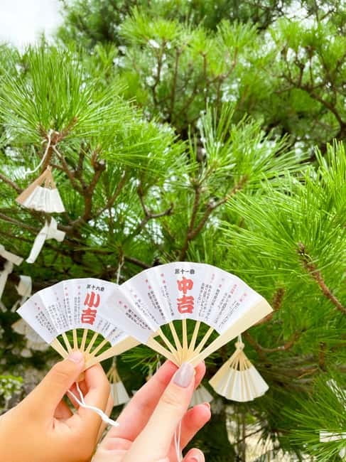 Osaka: Kyoto By The Sea with Amanohashidate & Ine no Funaya - Practical costs, comfort, and access