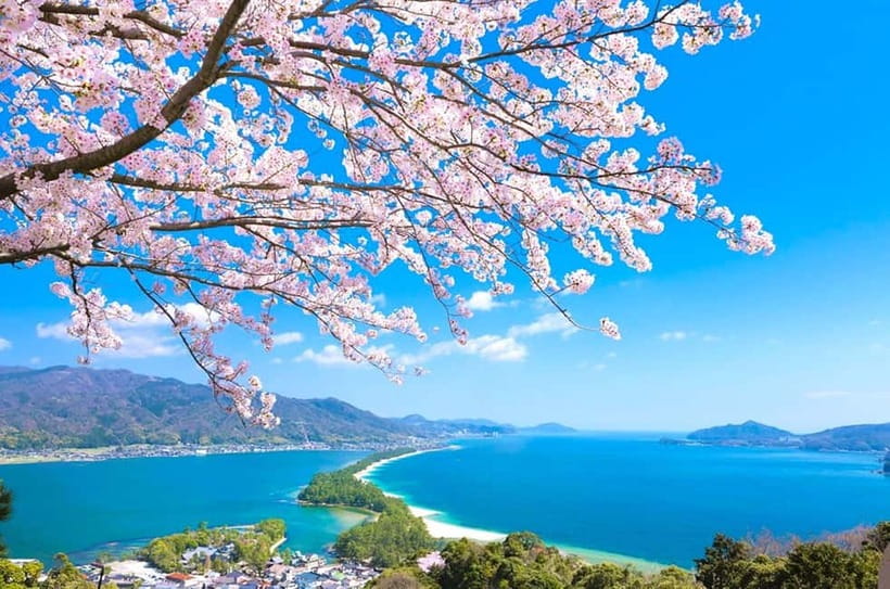 Osaka: Kyoto By The Sea with Amanohashidate & Ine no Funaya - Should you take the Ine sightseeing boat?