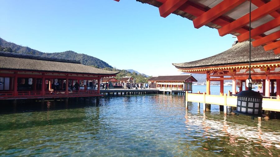 Osaka/Kyoto: Hiroshima Miyajima Bus Tour & Shinkansen Ticket - The return journey and the value of organization