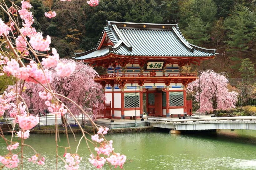 Osaka/Kyoto: Katsuoji, Kinkakuji, Arashiyama 1-Day Bus Tour - The best parts of the day at a glance