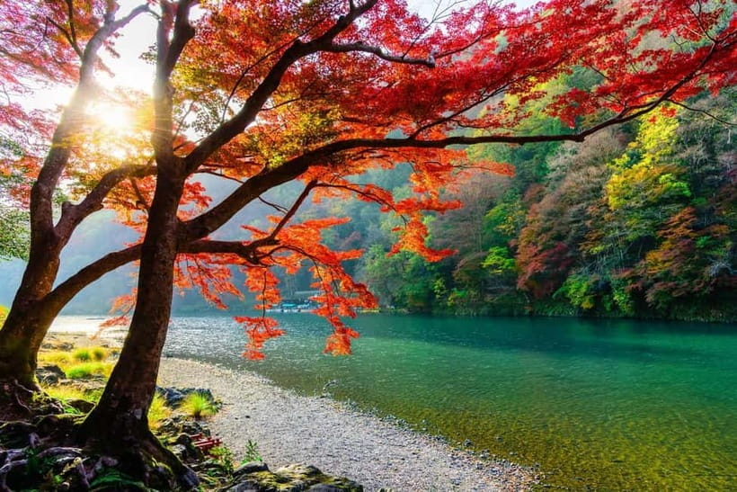 Osaka/Kyoto: Katsuoji, Kinkakuji, Arashiyama 1-Day Bus Tour - How the guide and bus affect the experience