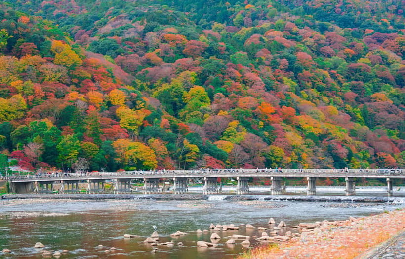 Osaka/Kyoto: Katsuoji, Kinkakuji, Arashiyama 1-Day Bus Tour - Is $56 a fair price?