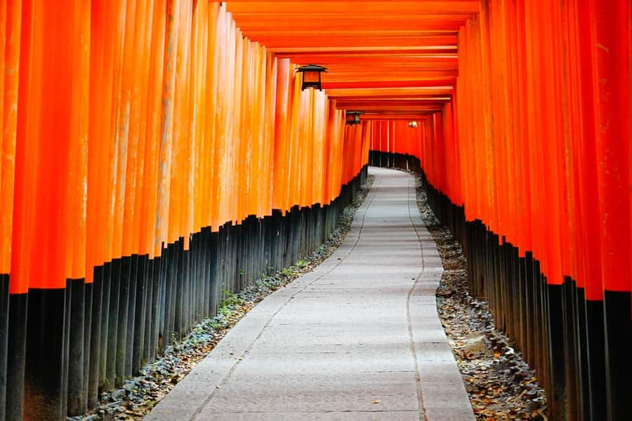 Osaka/Kyoto:Kinkakuji,Arashiyama,FushimiInariShrine,NaraPark - Starting at the correct meeting point