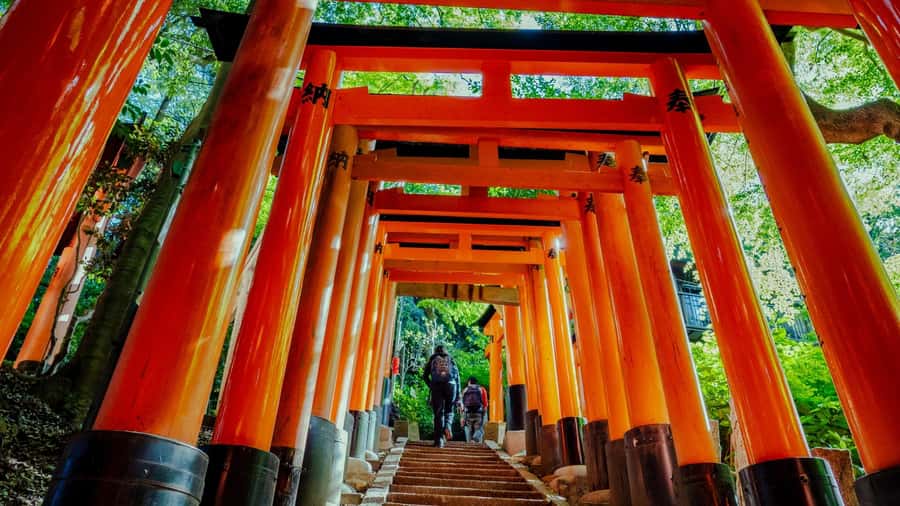 Osaka/Kyoto:Kinkakuji,Arashiyama,FushimiInariShrine,NaraPark - Lunch choice: Kobe beef or more time in Arashiyama