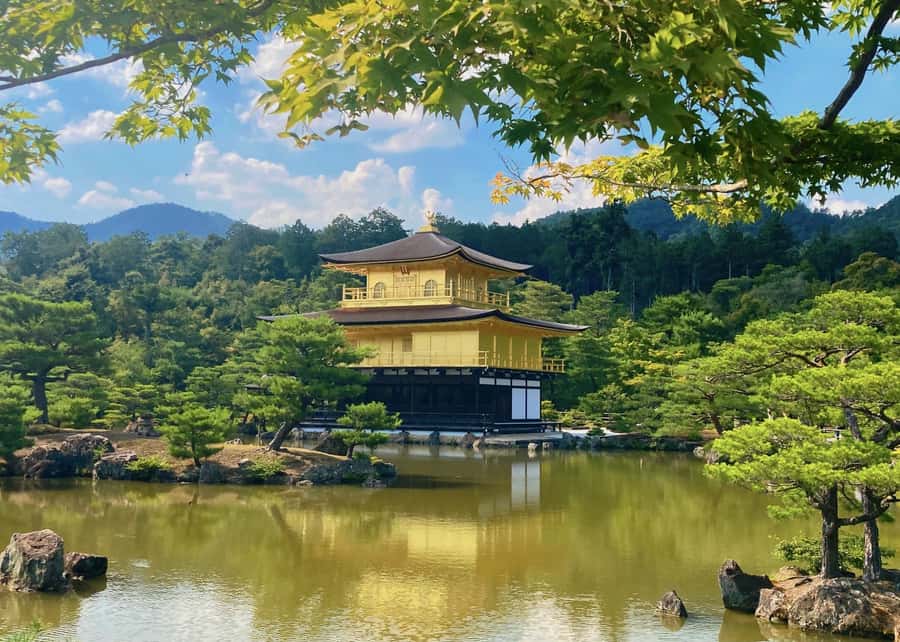 Osaka/Kyoto:Kinkakuji,Arashiyama,FushimiInariShrine,NaraPark - Arashiyama’s Bamboo Grove in a tight window