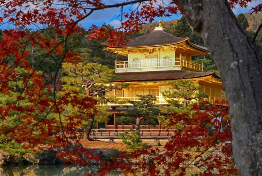 Osaka/Kyoto:Kinkakuji,Arashiyama,FushimiInariShrine,NaraPark - Fushimi Inari’s endless red gates