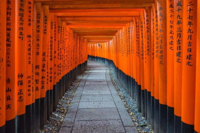 Osaka: Kyoto & Nara & Uji Historical and Scenic One-Day Tour - Nara Park: deer, crackers, and a busy 45 minutes