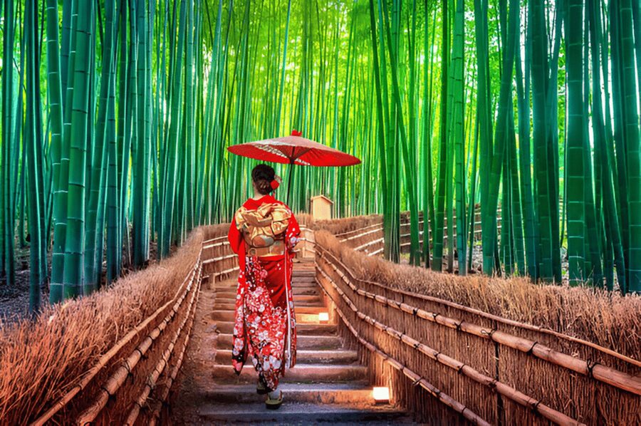 Osaka/Kyoto: Private Kyoto and Nara Day Trip - One private day for Kyoto and Nara