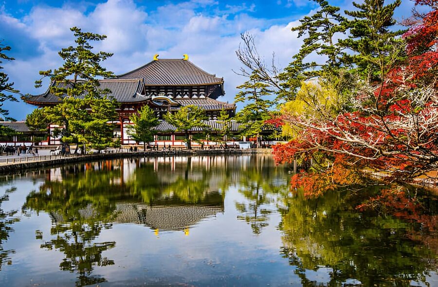 Osaka/Kyoto: Private Kyoto and Nara Day Trip - Kyoto-only choices for a fuller city day