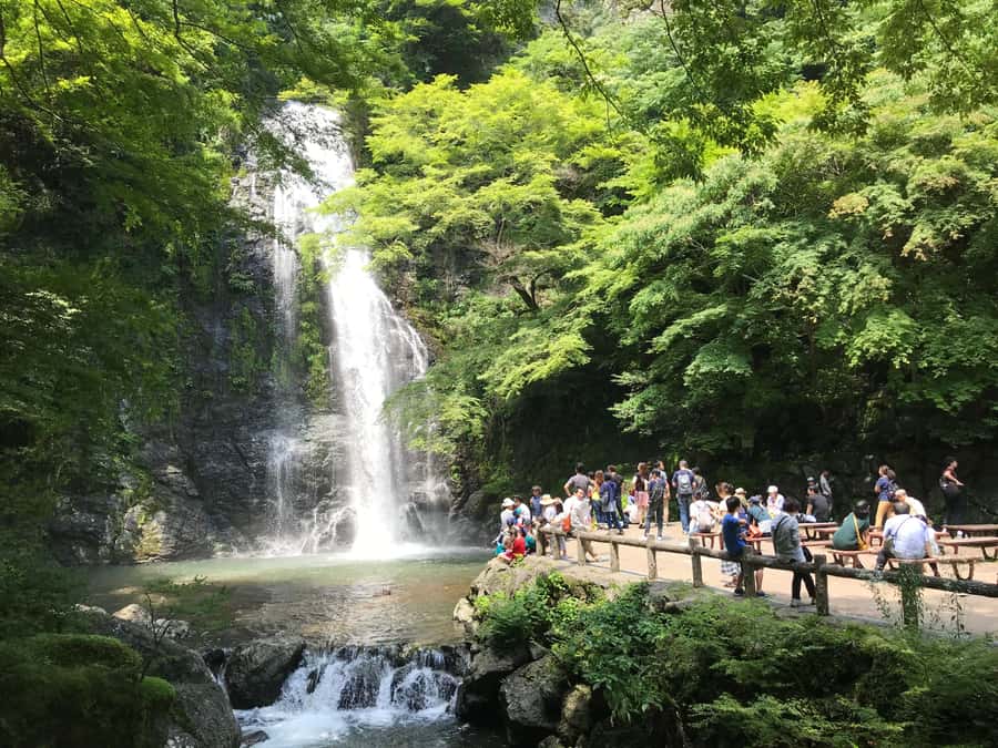 Osaka: Mino Forest Walk and Giant Waterfall with Local Lunch - The first hour follows Mino’s riverside route