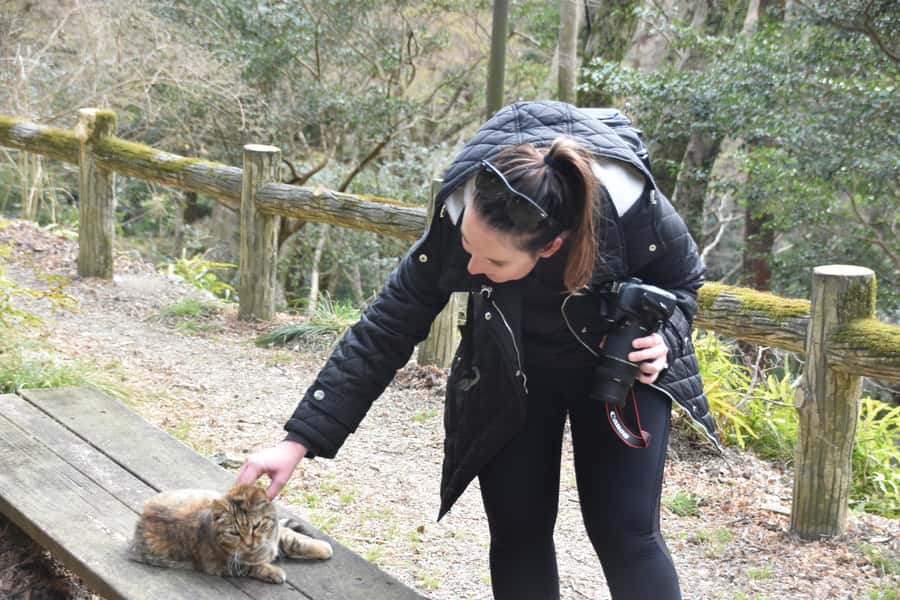 Osaka: Mino Forest Walk and Giant Waterfall with Local Lunch - Is $79 a fair price?