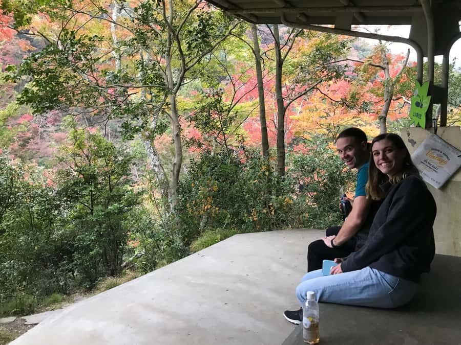 Osaka: Mino Forest Walk and Giant Waterfall with Local Lunch - Meeting point, timing, and booking details